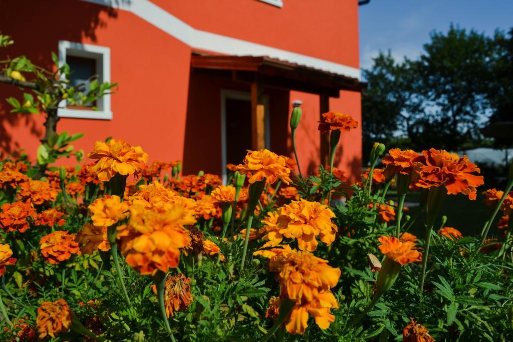 Agriturismo Ca' La Pergola Lugagnano Esterno foto