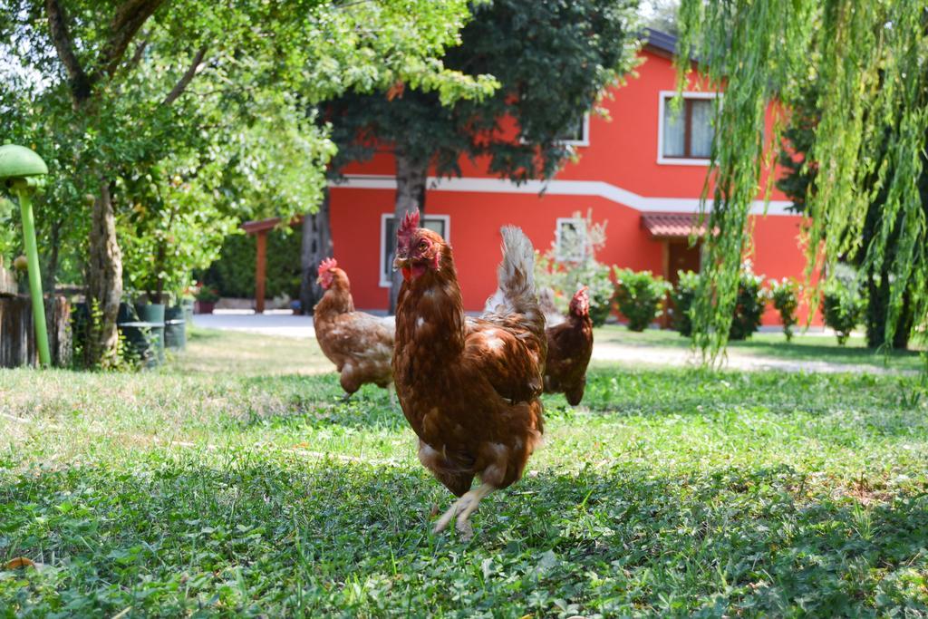 Agriturismo Ca' La Pergola Lugagnano Esterno foto