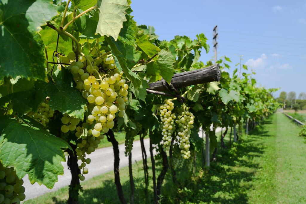 Agriturismo Ca' La Pergola Lugagnano Esterno foto