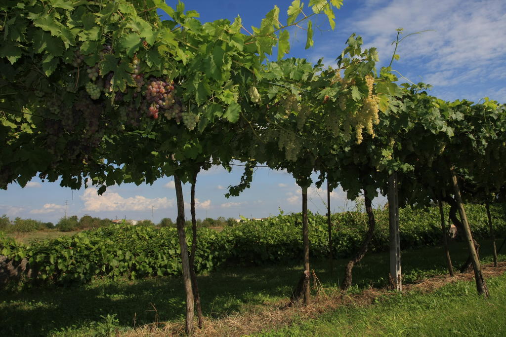 Agriturismo Ca' La Pergola Lugagnano Esterno foto